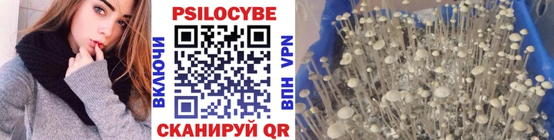 Галлюциногенные грибы мицелий  нарко площадка формула  блэк спрут ССЫЛКА  Талица  продажа наркотиков 