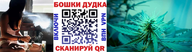 Бошки Шишки план Талица